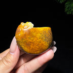 和田玉籽料秋梨皮宝聚宝把件（80.0g）