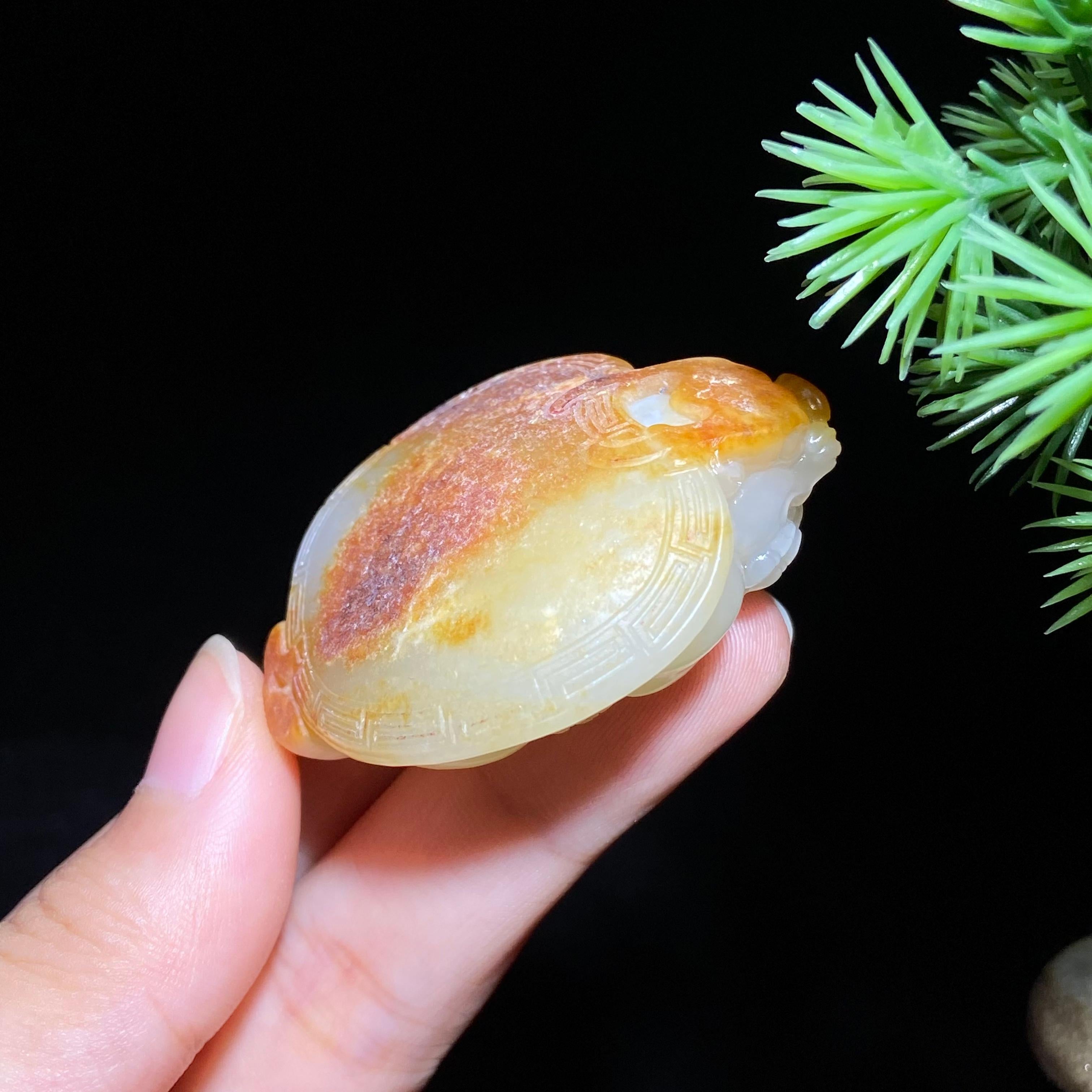 和田玉籽料龙龟（36.3g）