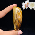 和田玉黄沁皮籽料（169.4g）