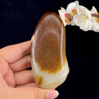 和田玉聚红皮籽料手把件（173.7g）