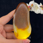 和田玉聚红皮籽料手把件（173.7g）