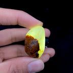【超值推荐】和田玉聚黄皮籽料吊坠籽（16.3g）