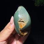 和田玉籽料沙枣青君子兰（114.0g）