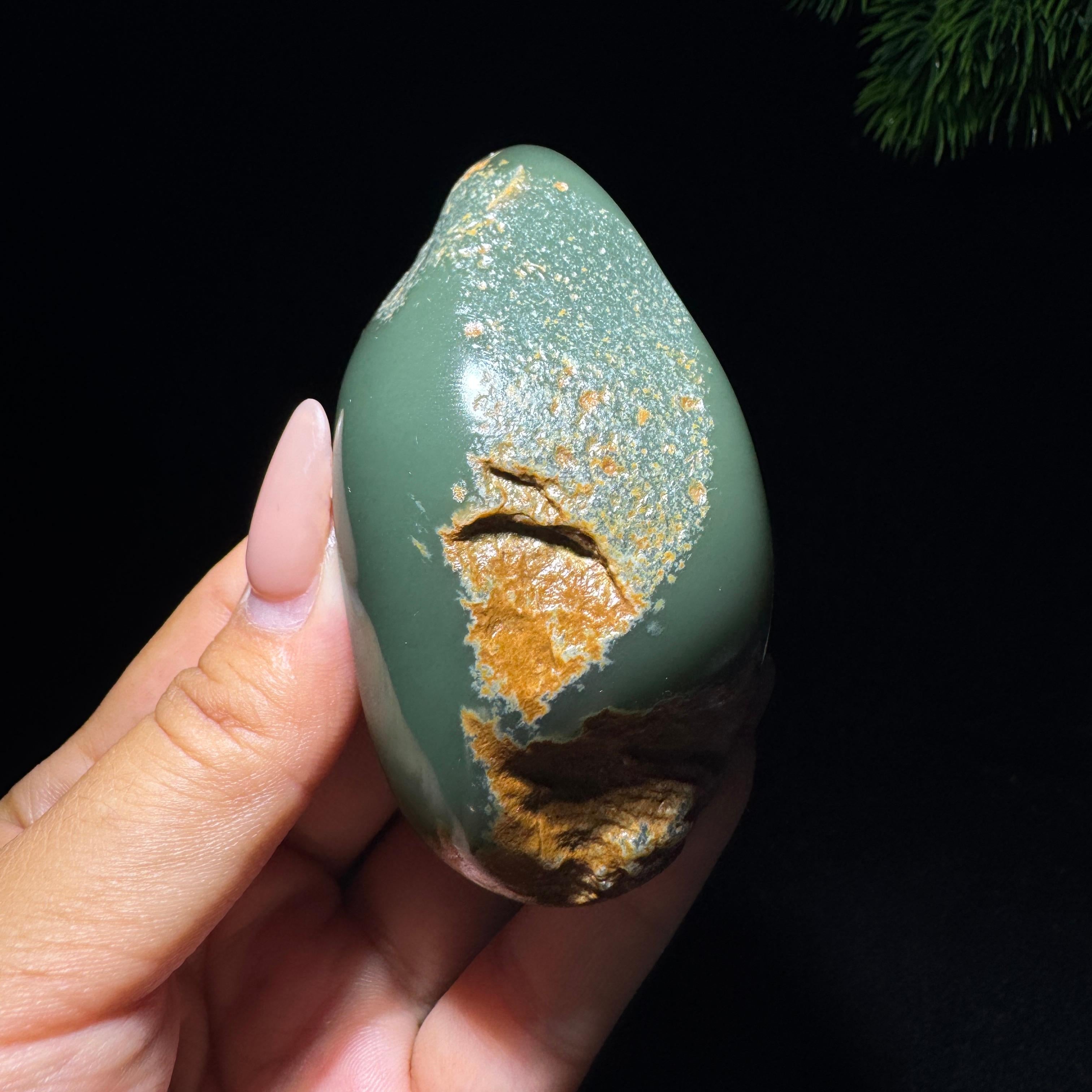 和田玉籽料沙枣青君子兰（114.0g）