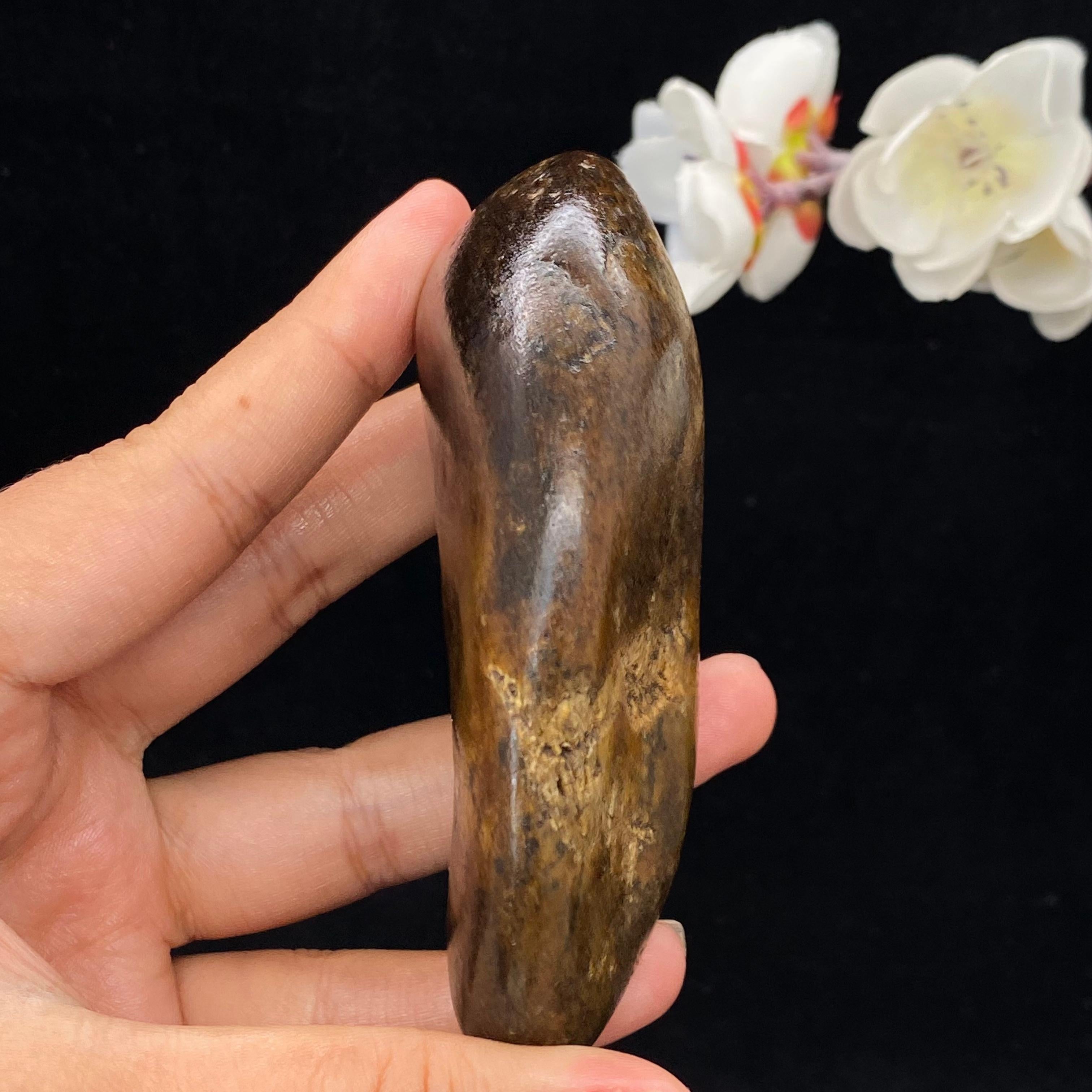 和田玉黄沁皮籽料（215.3g）