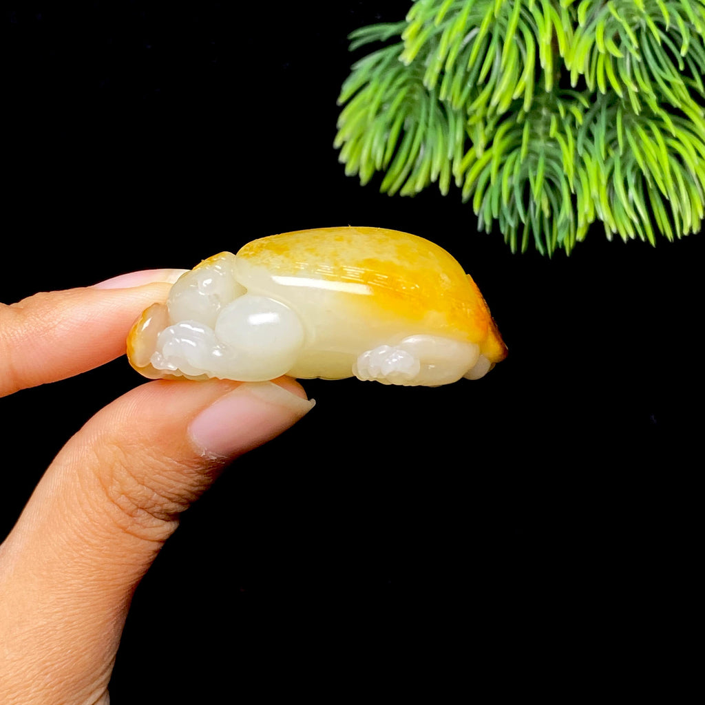 和田玉籽料龙龟（39.5g）