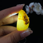 和田玉洒金皮籽料（12.7g）