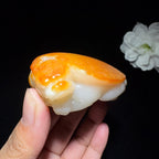 高品质和田玉籽料手把件龙龟（99.2g）