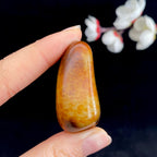 和田玉洒红皮籽料（41.3g）