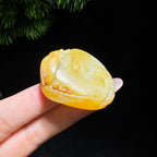 和田玉籽料蝉（30.0g）