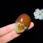 和田玉籽料龙龟（50.7g）