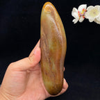 和田玉聚红皮籽料（1007g）