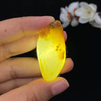 和田玉籽料【呱呱来财】（17.3g）