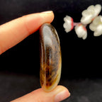 和田玉聚黑皮籽料原石（43.8g）