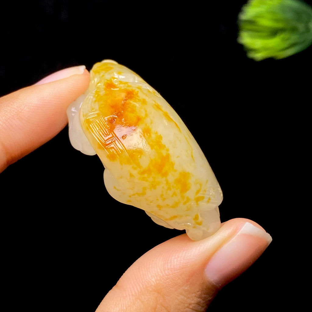和田玉籽料龙龟（28.6g）