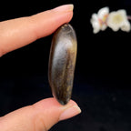 和田玉秋梨黑皮籽料挂件（23.3g）