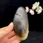 和田玉聚黑皮籽料（295.9g）