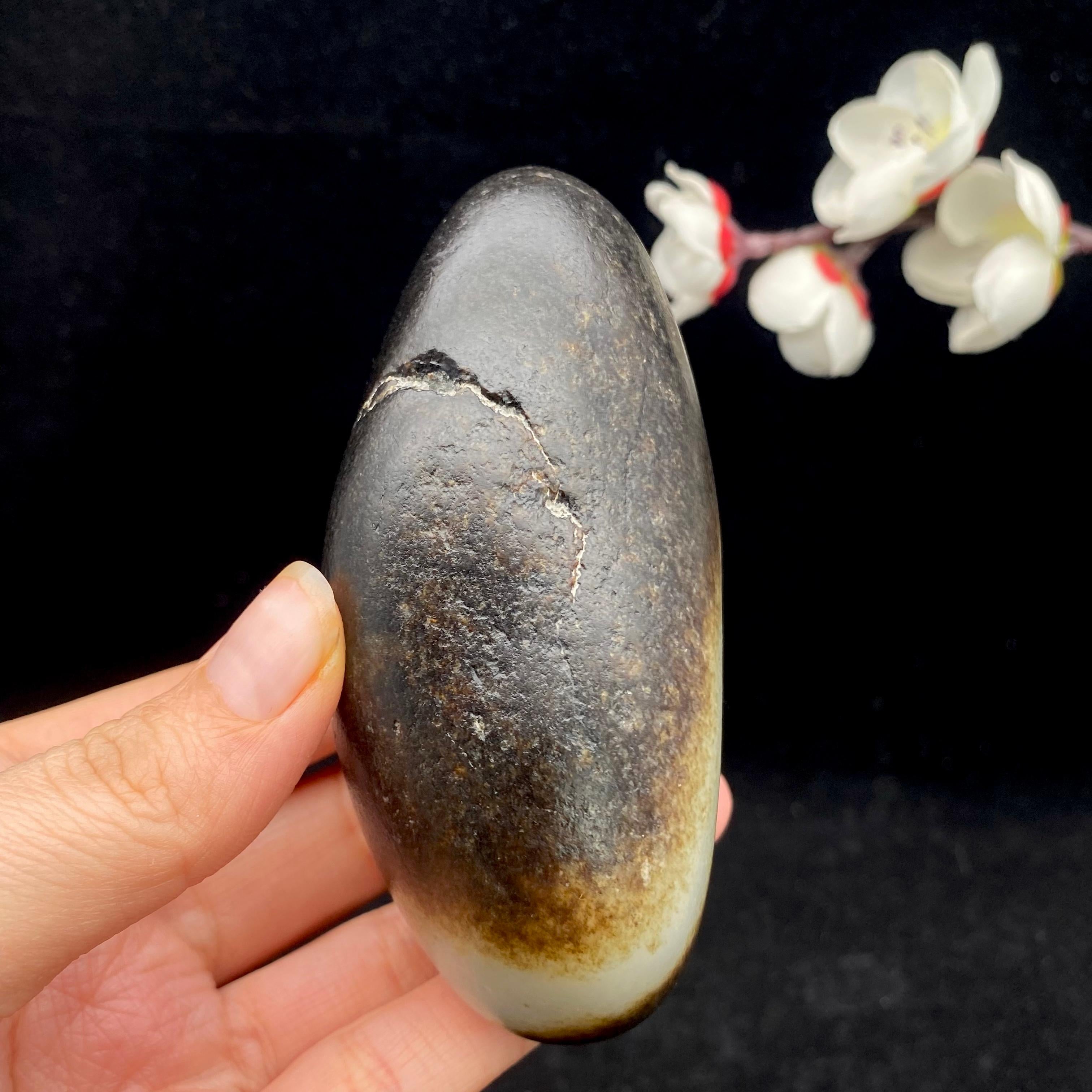 和田玉聚黑皮籽料（295.9g）