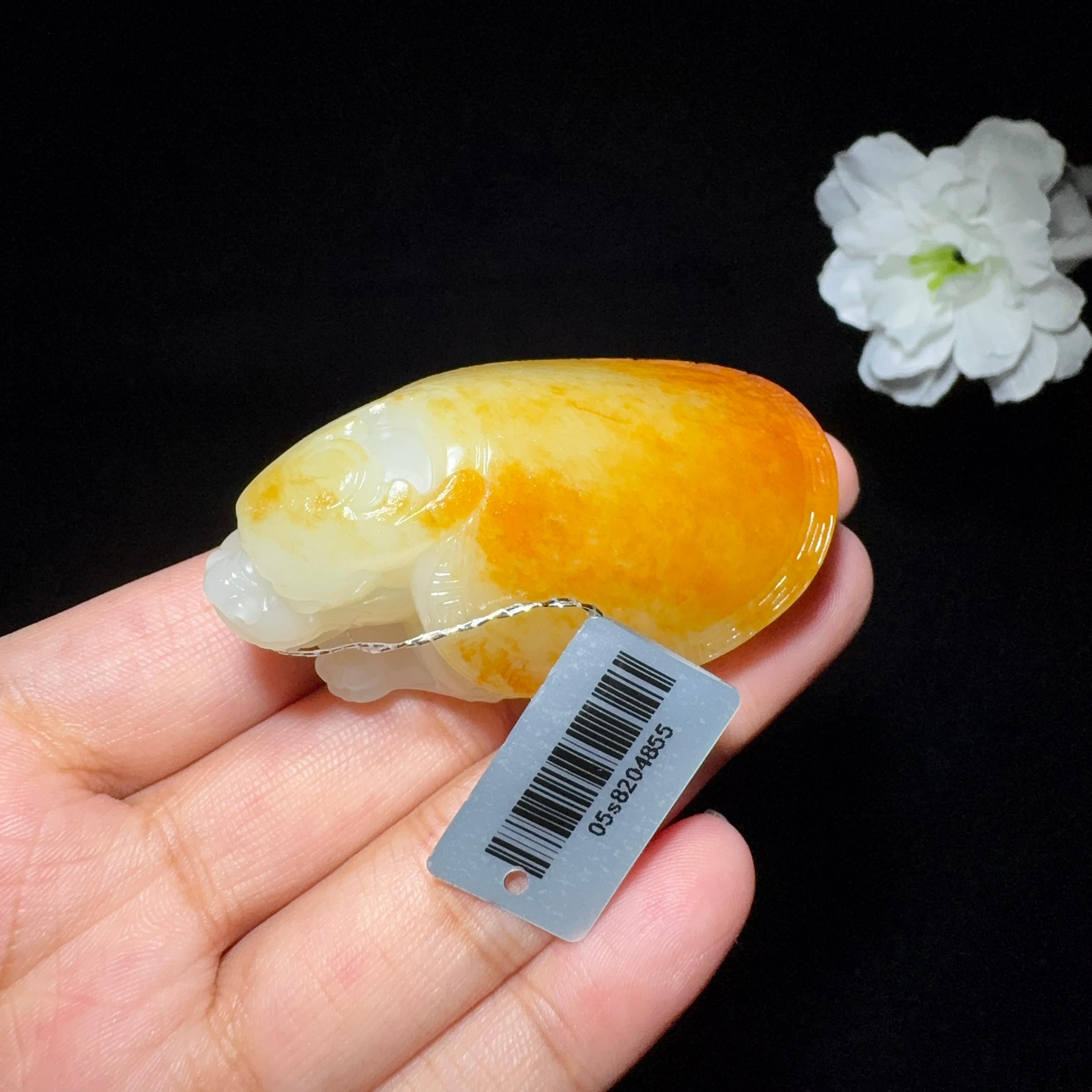 和田玉籽料龙龟挂件（62.4g）