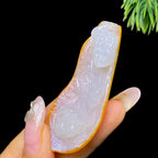 和田玉籽料金钱蝉身（24.6g）