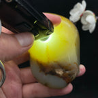 和田玉聚黄皮籽料手把件（249.8g）