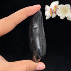 和田玉青花籽料手把件（76.8g）
