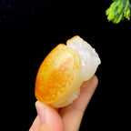 和田玉籽料龙龟（85.5g）