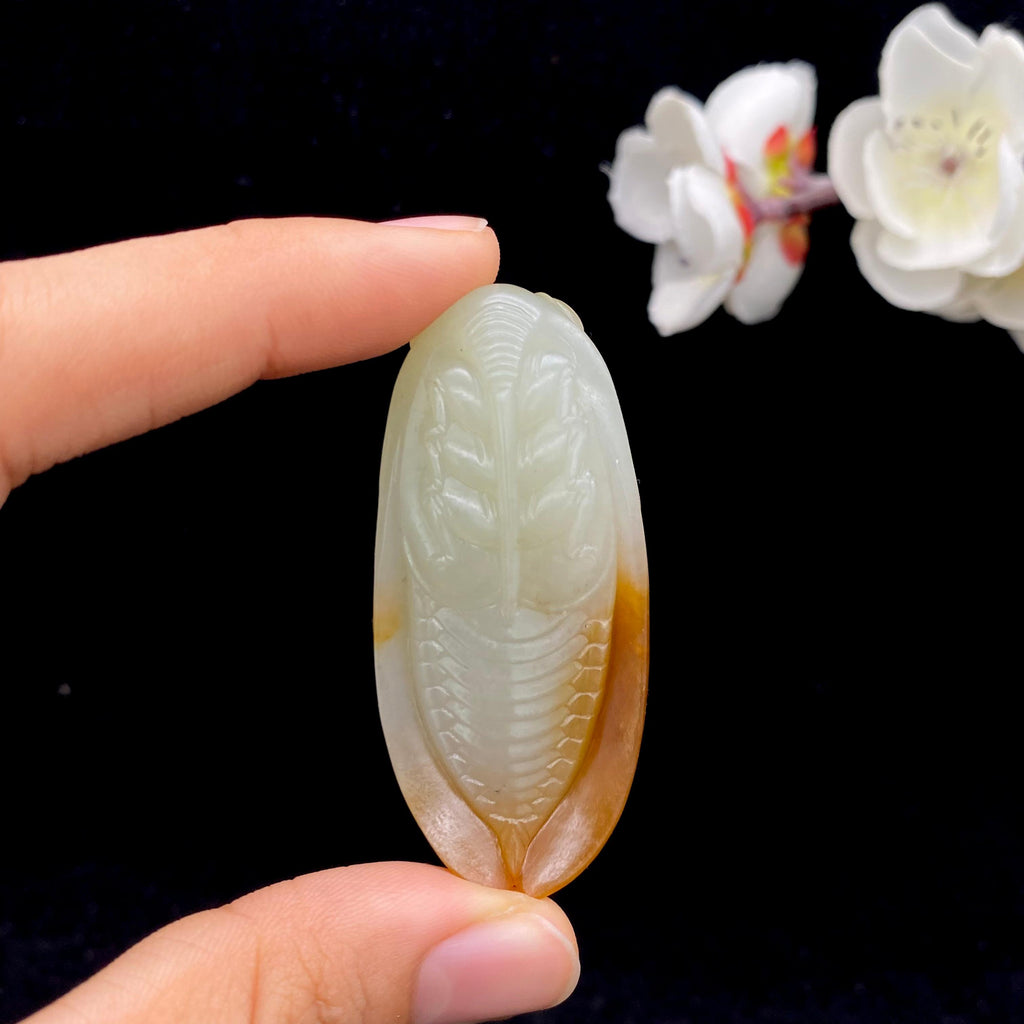 和田玉籽料【一鸣惊人】（31.3g）