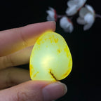 和田玉洒金皮籽料（12.3g）