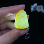 和田玉聚黄皮籽料吊坠籽（16.2g）