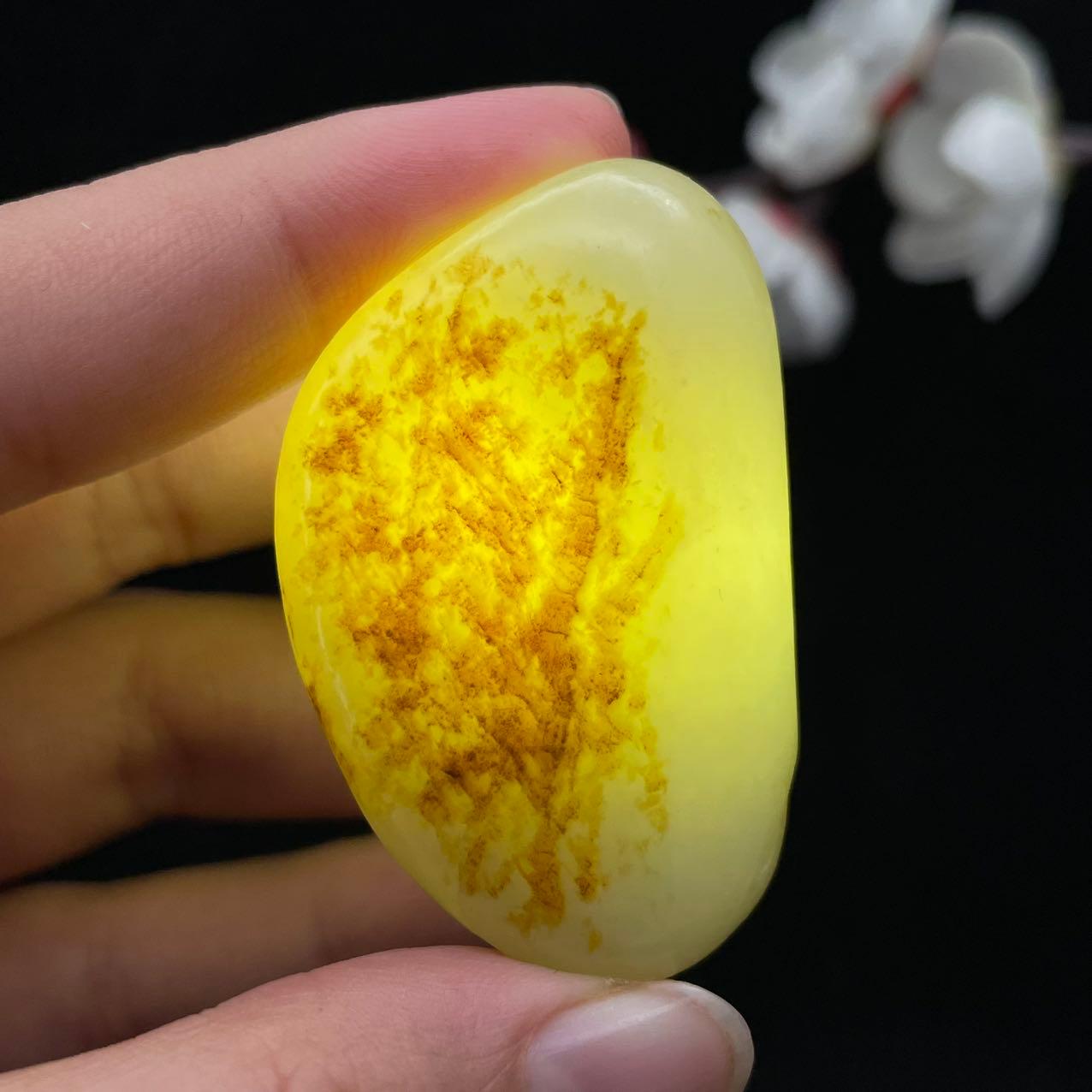 和田玉聚黄皮籽料（37.6g）