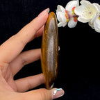 和田玉黄沁皮籽料原石（157g）