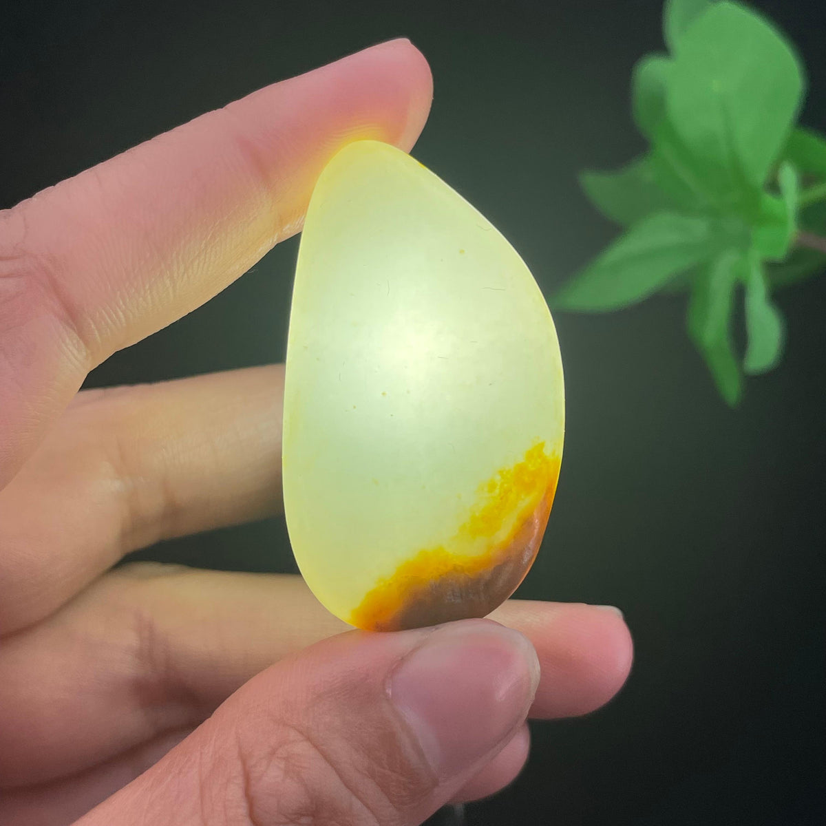 和田玉聚黄皮籽料挂件（21.3g）
