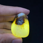 和田玉秋梨皮籽料原石（33.3g）