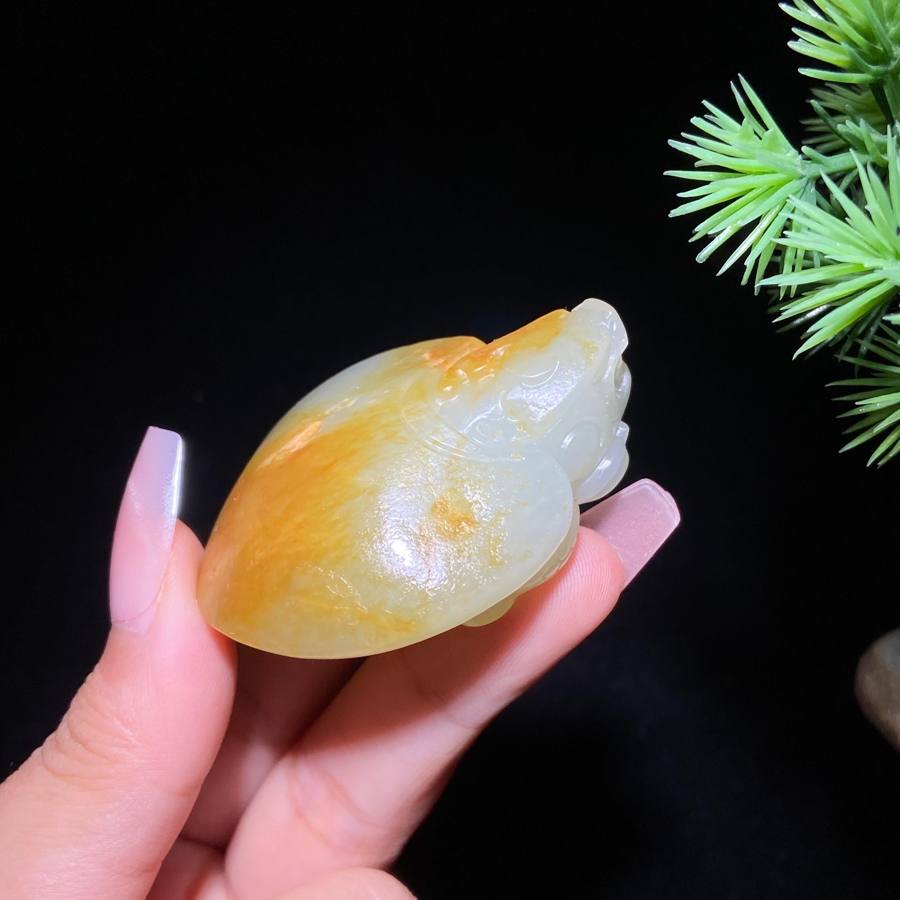 和田玉籽料龙龟（51.7g）