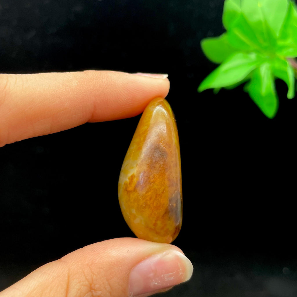 和田玉聚黄皮籽料（26.1g）