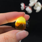和田玉秋梨皮籽料（3.6g）