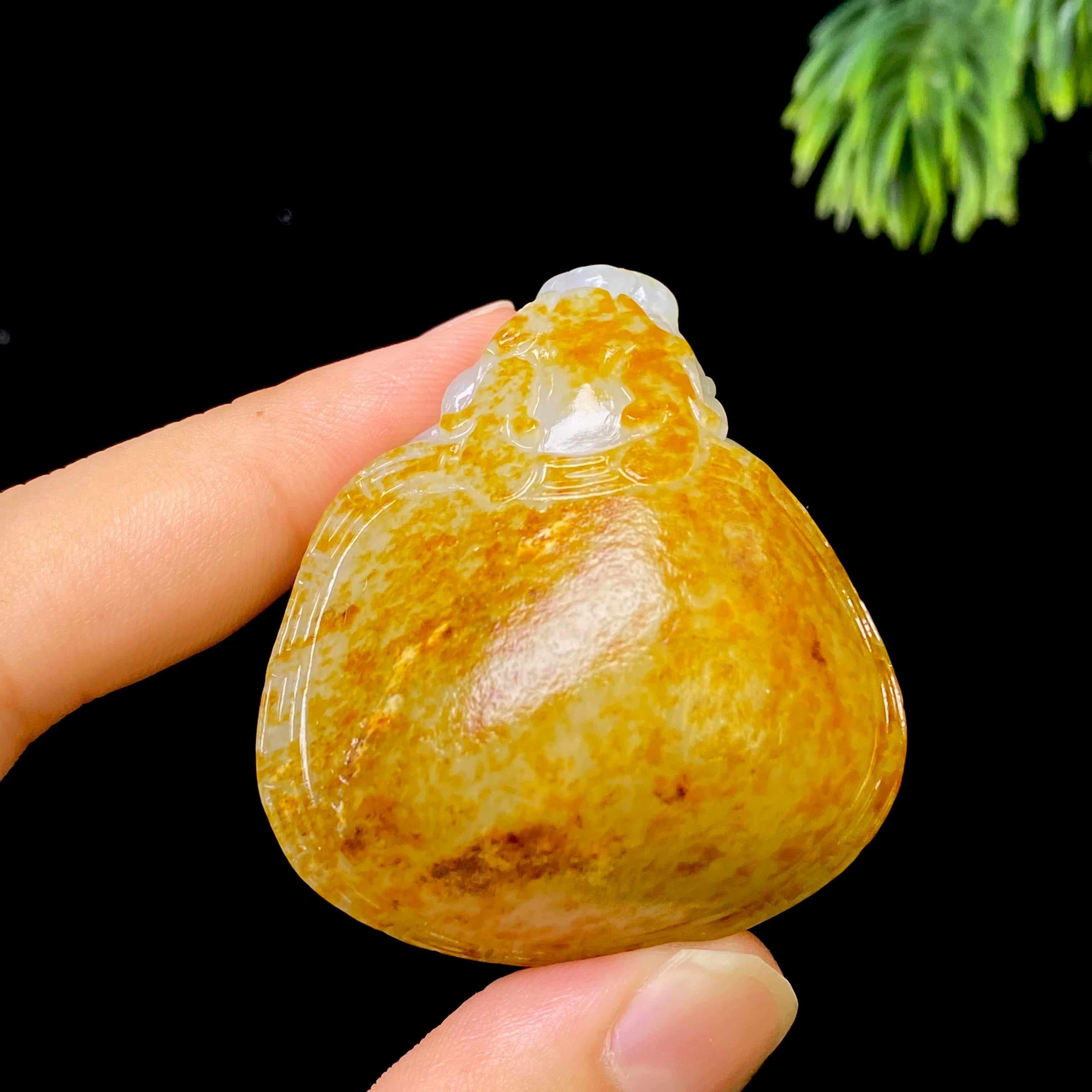 和田玉籽料龙龟（56.0g）