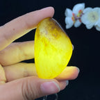 和田玉聚黄皮籽料挂件（56.5g）