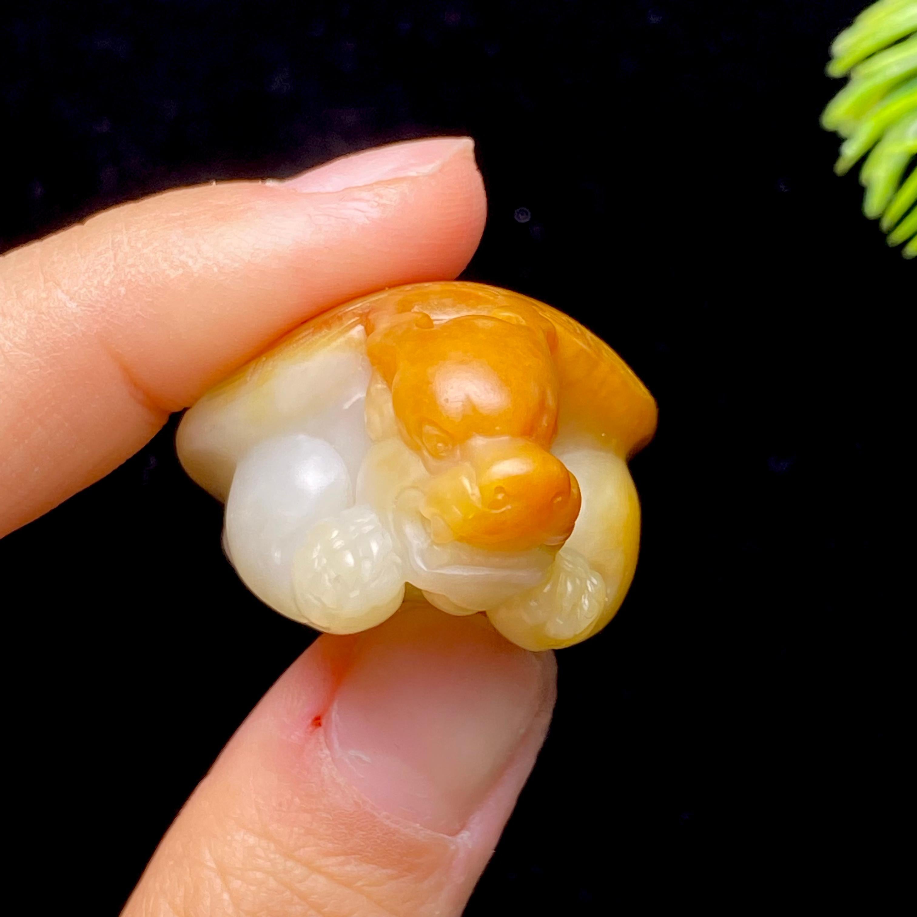 和田玉籽料龙龟（32.1g）