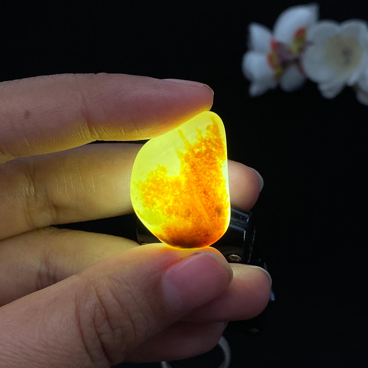 和田玉聚黄皮籽料（9.8g）