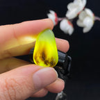 和田玉秋梨皮沙枣青籽料（4.8g）