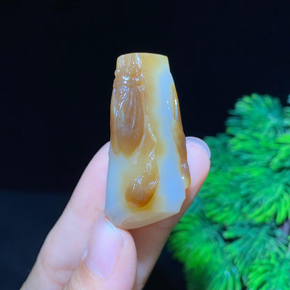 和田糖白玉蝉一鸣惊人挂件（21.2g）