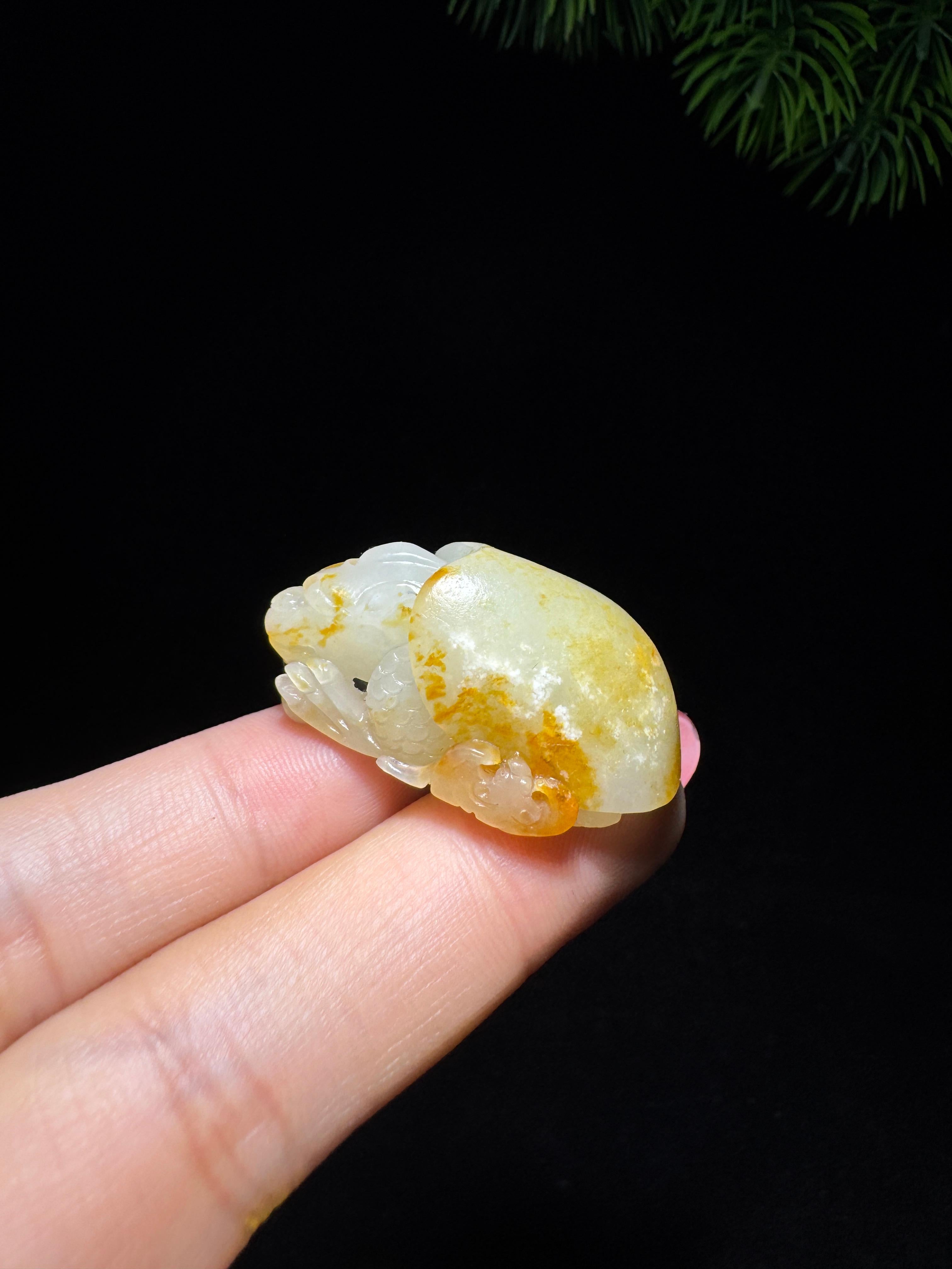 和田玉籽料龙龟（18.7g）