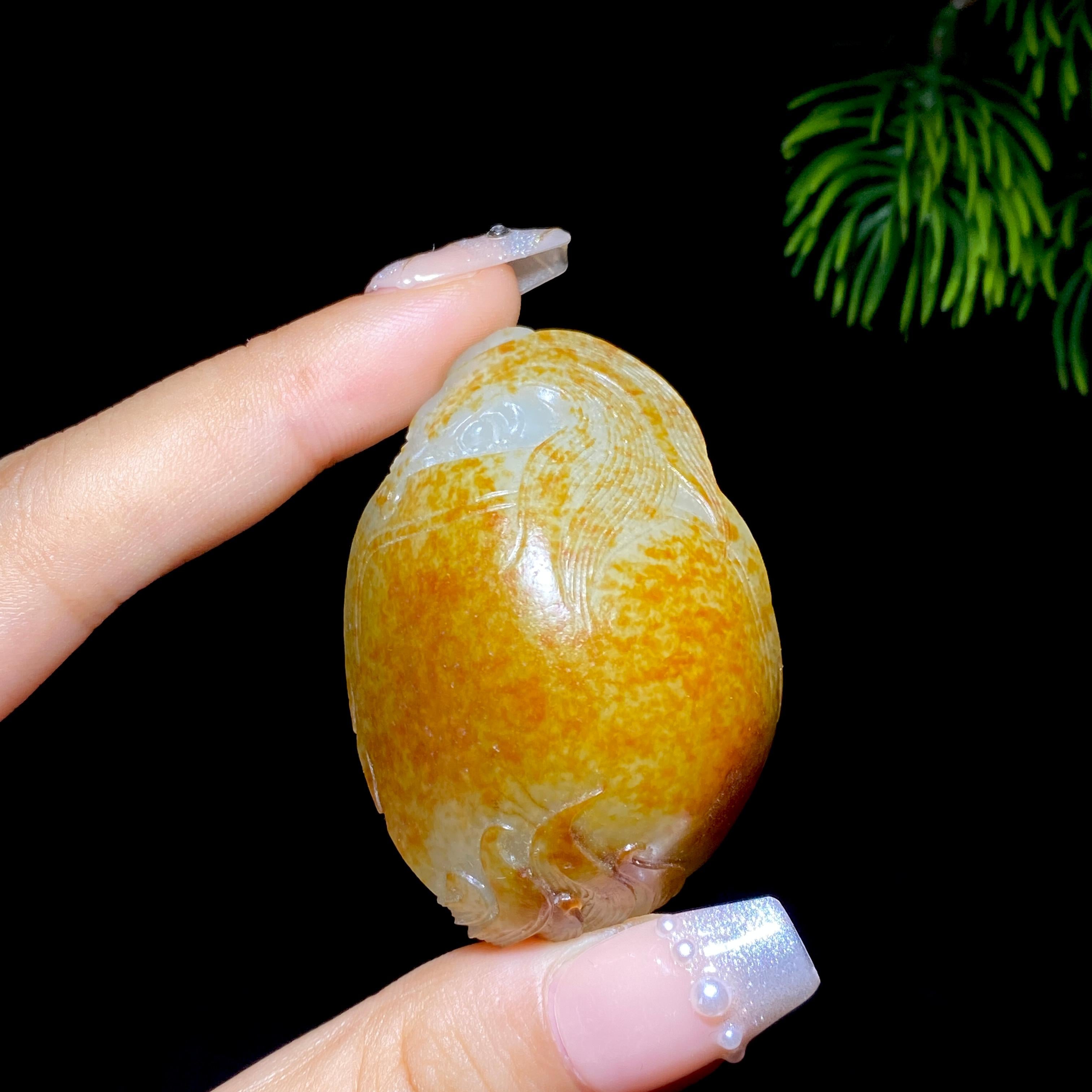 和田玉籽料龙龟（63.6g）