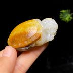 和田玉籽料龙龟（68.9g）