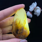 和田玉黄皮籽料大挂件（51.5g）