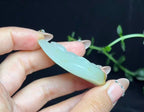 新疆和田玉带翠籽料观音（31.3g）