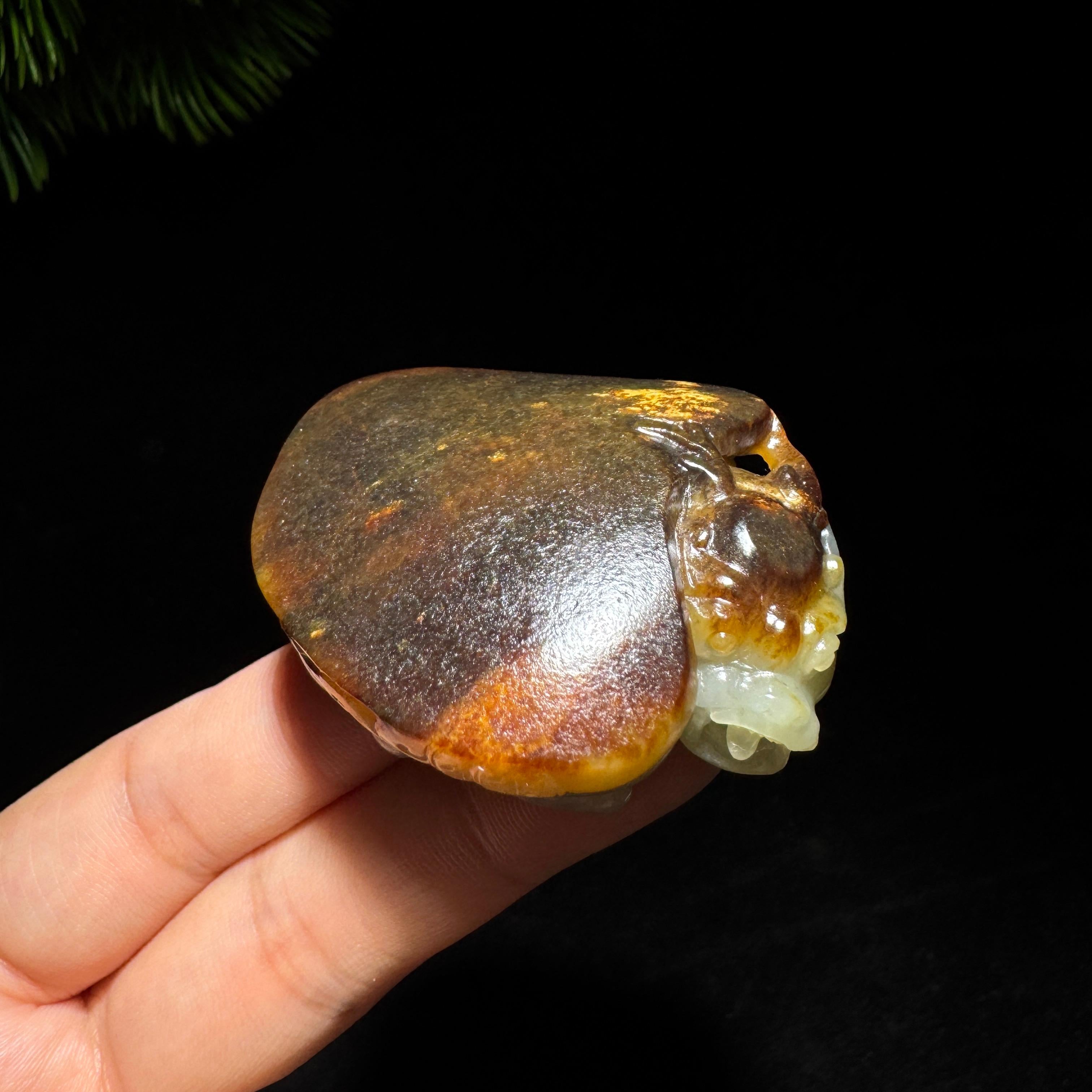 和田玉籽料青花龙龟（62.5g） – 厚德载玉