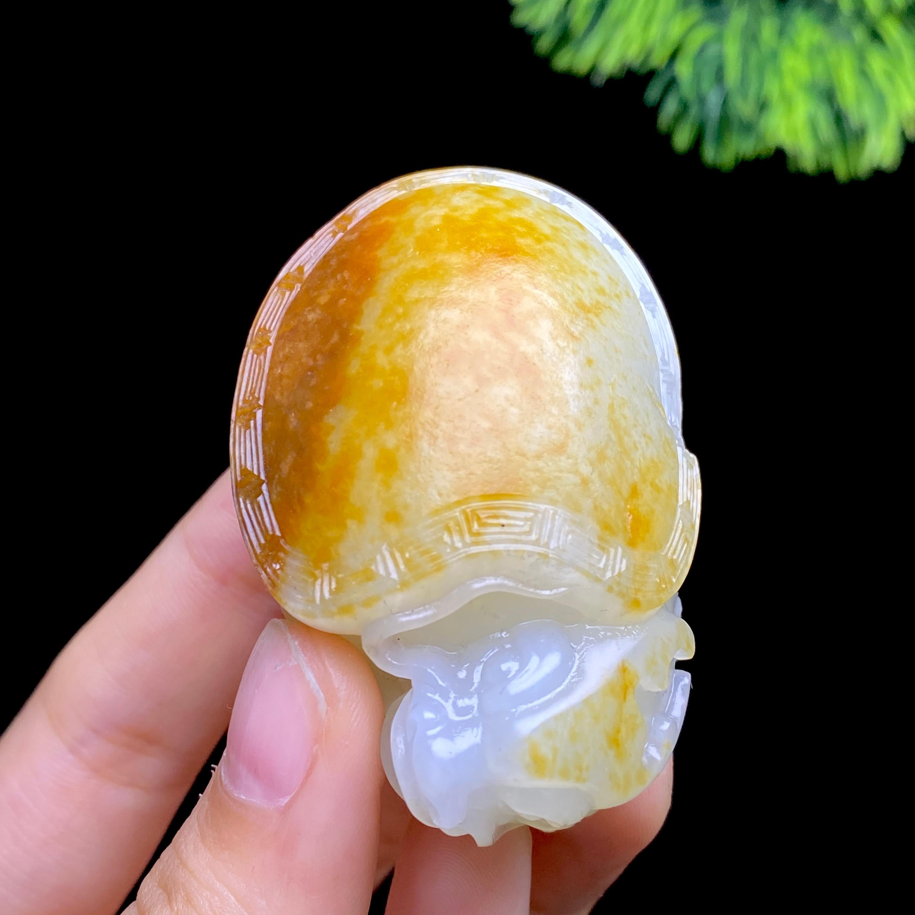 和田玉籽料龙龟（68.9g）